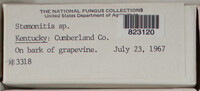 Image Associated With the Occurence